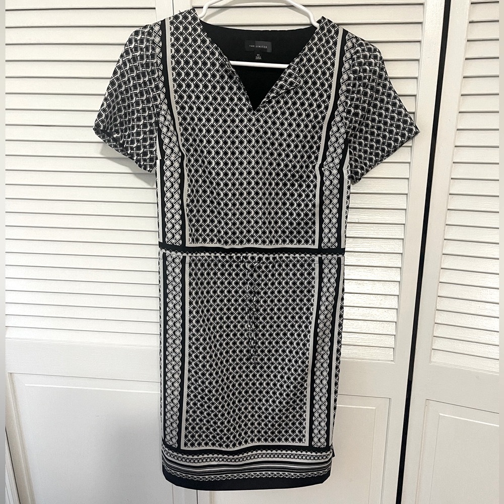The Limited Vintage (never worn!) dress